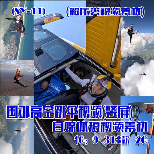 (SY011)国外高空跳伞视频抖音快手短视频素材竖屏 9：16 313款 2G