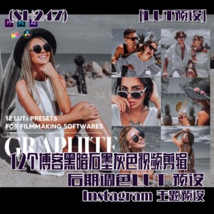 (SH247)12个黑暗石墨灰色视频剪辑后期调色LUT,Instagram主题预设