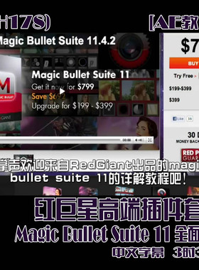 (SH178) 红巨星高端插件套装MagicBulletSuite11全面教程中字3时