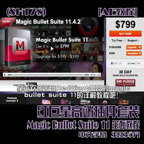 (SH178) 红巨星高端插件套装MagicBulletSuite11全面教程中字3时