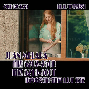 (SH257) JUAN MELARA柯达5207 250D 5219 500T仿真电影胶片调色
