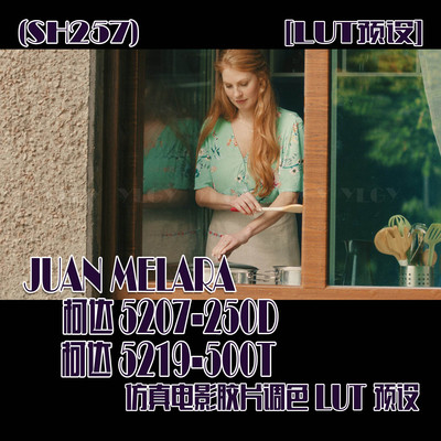 (SH257) JUAN MELARA柯达5207 250D 5219 500T仿真电影胶片调色