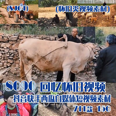 (SJ01)8090回忆怀旧视频抖音快手西瓜自媒体短视频素材 711款 15G