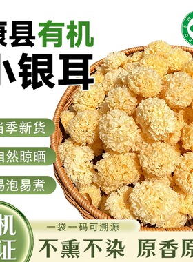 康小耳有机小银耳干货甘肃陇南康县椴木银耳小朵软糯出胶炖银耳羹