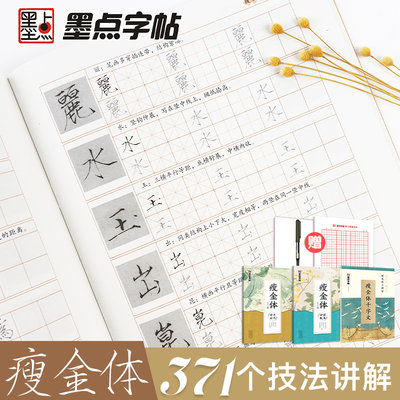 墨点瘦金体硬笔书法字帖成年