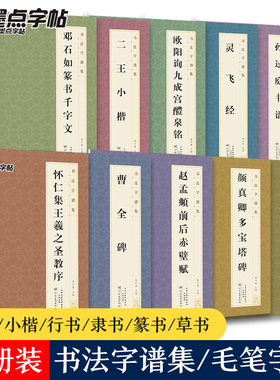 墨点字帖书法字谱集成人学生