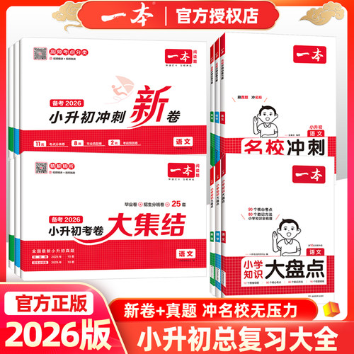 一本小升初冲刺真题+新卷