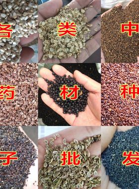 中药材桔梗红花防风种子