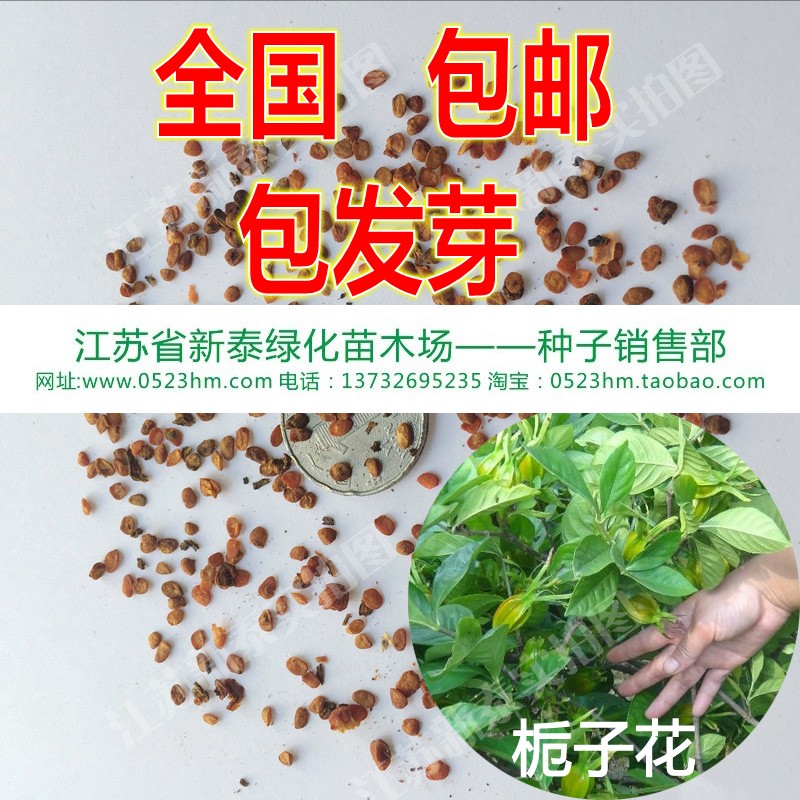 峨山县来分期商城临时额度【加◆威信Q同号:4