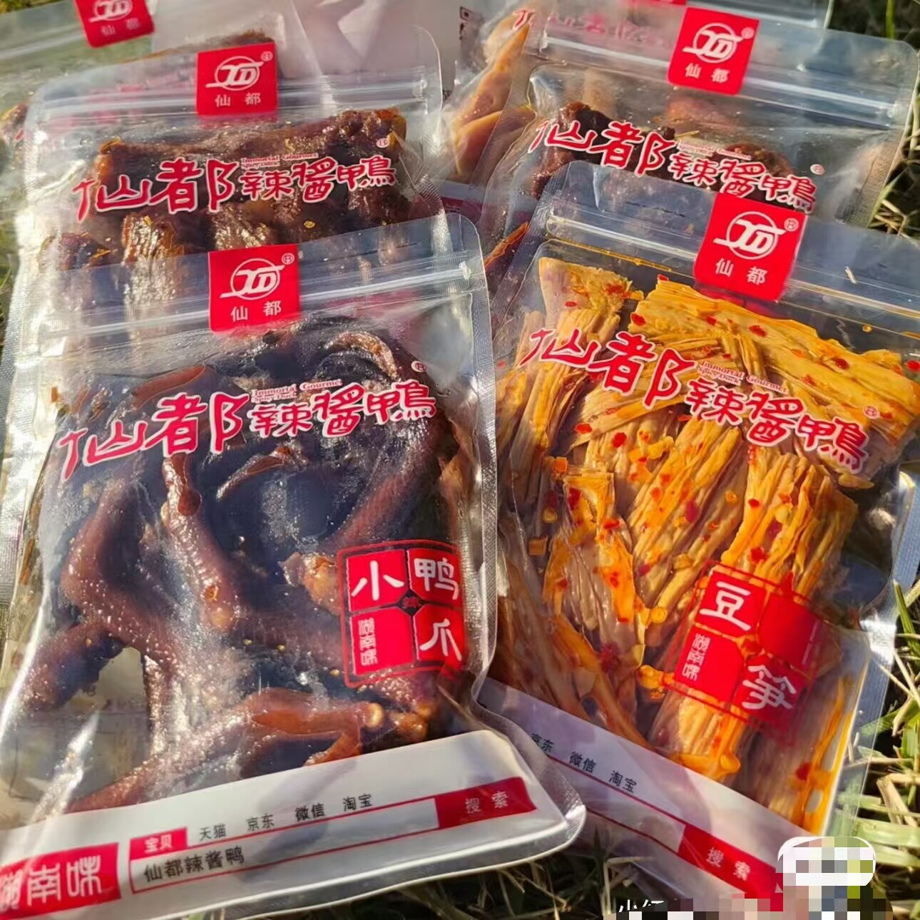 仙都辣酱鸭代购长沙必吃美食贡菜藕片魔芋干鸡汁香干小笋豆笋海带