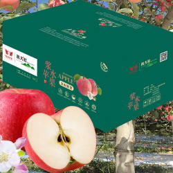 邢台特产浆水苹果精品礼盒装16枚大果脆甜可口家乡特产京东包邮