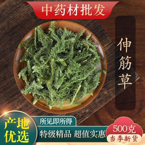 正品伸筋草中药材500g新货出售