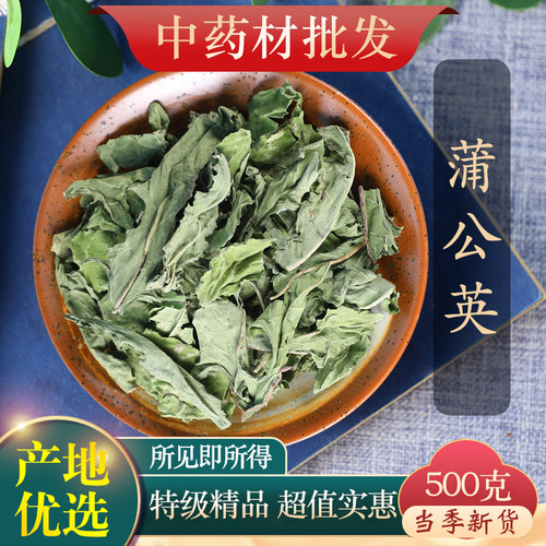 中药材特级长白山蒲公英500g