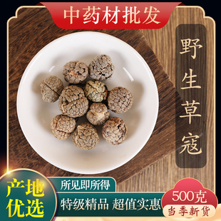 中药材精选天然草蔻正品草寇仁草豆蔻老寇草扣大草寇 药用500g克