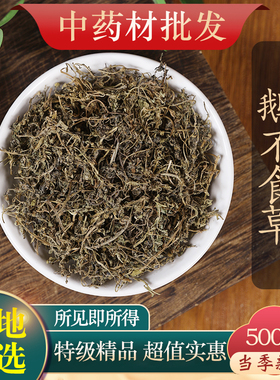 中药材精选鹅不食草500克g正品新鲜干货末鹅不食草粉饿不食草
