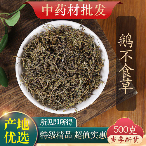 中药材特级野生鹅不食草500克
