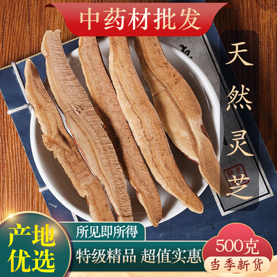 特级野生灵芝片500克中药材
