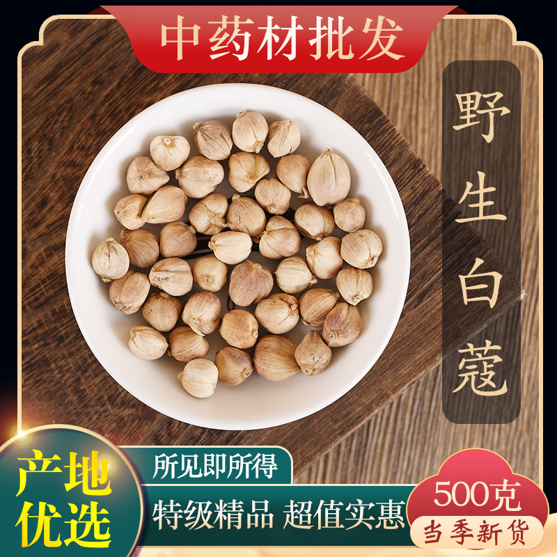 中药材特级野生白豆蔻500克正品