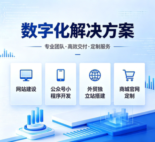 独立站搭建 外贸网站建设 商城官网开发 公众号小程序定制服务