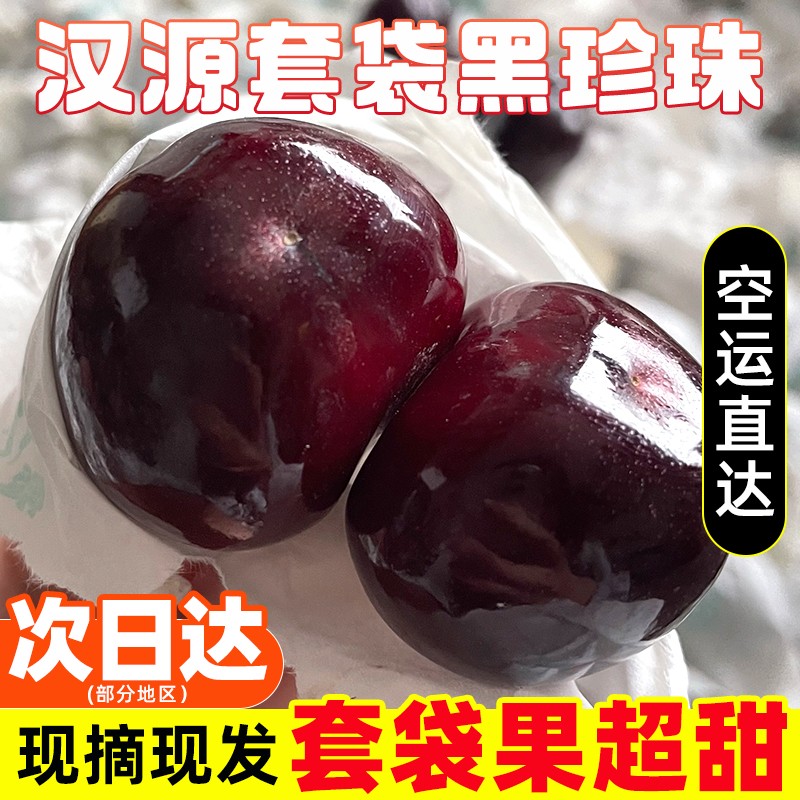冉大胖5斤大樱桃汉源纯甜无酸