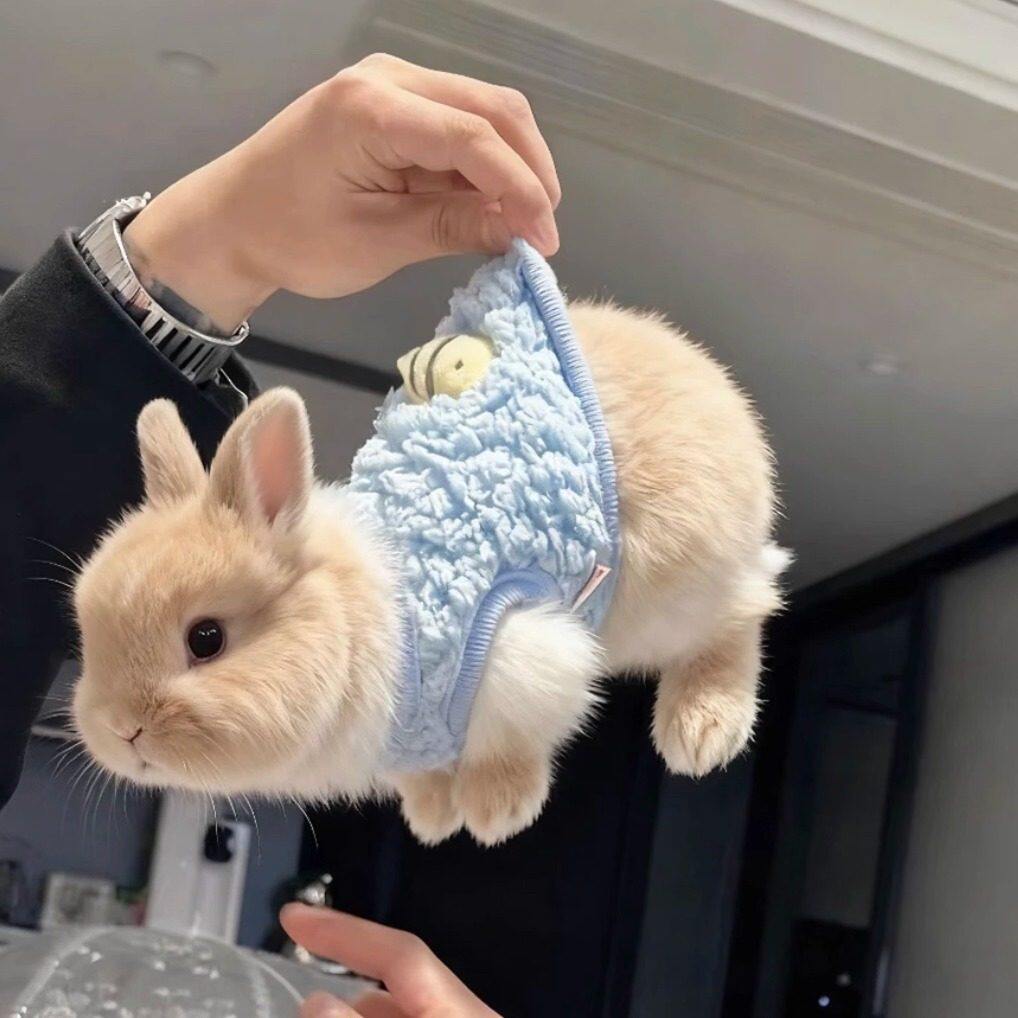 兔子衣服秋冬保暖小号背心兔子家居服侏儒兔安哥拉兔幼猫幼犬衣服