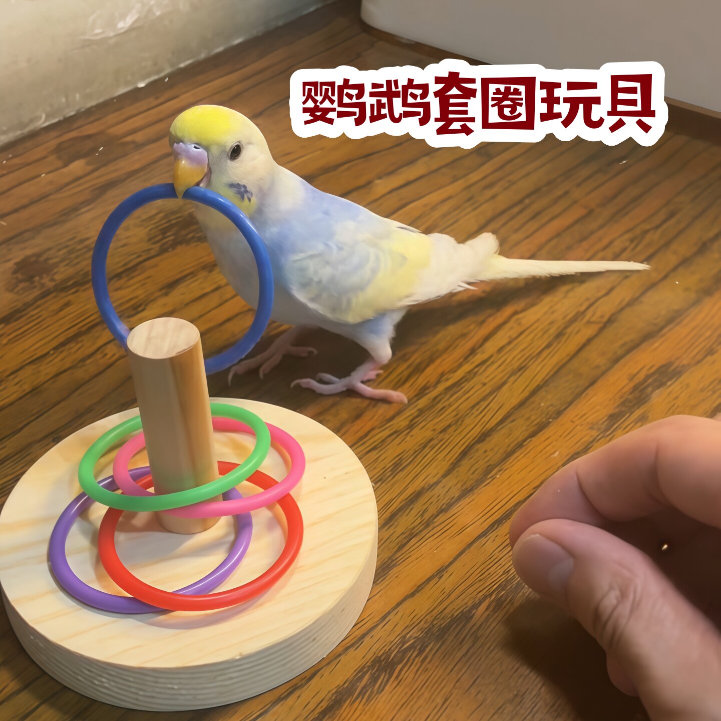 鹦鹉玩具解闷自嗨虎皮玄凤小太阳可啃咬套圈消耗体力益智训练玩具