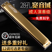 German imported reed eetop28 hole polyphony C harmonica advanced adult accent professional performance level wide range