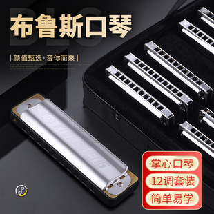 孔声十孔布鲁斯口琴12调套装10孔蓝调口琴成人初学者专业演奏乐器
