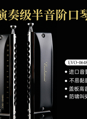 JDR12孔半音阶口琴C调专业演奏级 初学者入门自学表演EVO-0648s