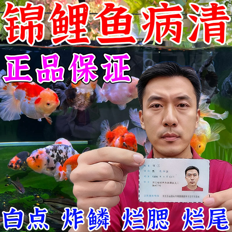 鱼病专用白点霉烂尾身烂鳍烂腮