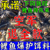 通用野钓黑坑专攻鲤鱼专用爆护饵料 钓鲤鱼专用饵料四季 热卖 中