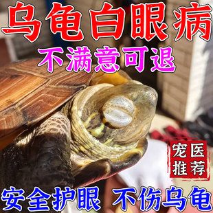 乌龟白眼病专用药水蒙眼发白眼睛红肿睁不开发炎巴西龟草龟滴眼液