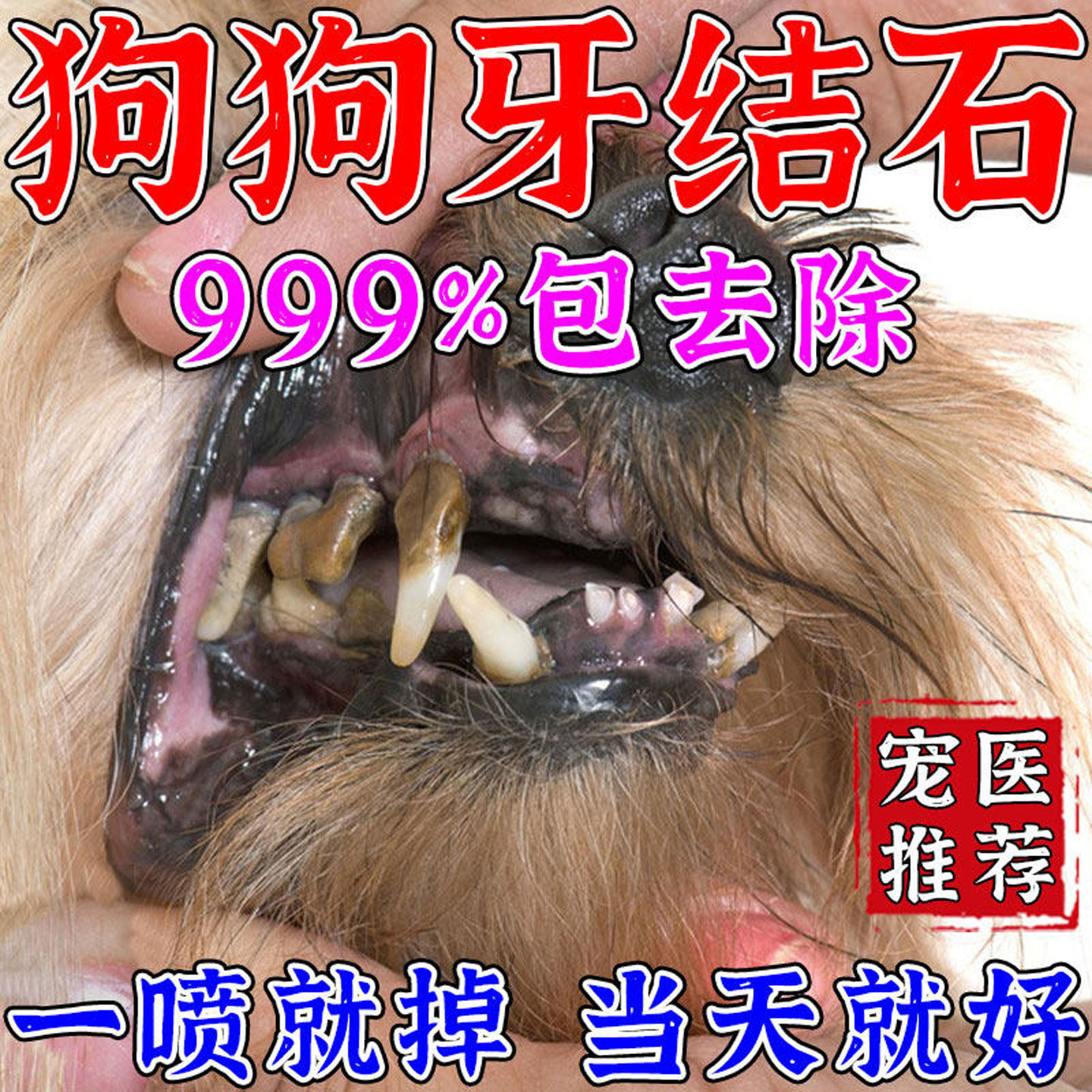 【当天全掉】狗狗牙结石去除器牙石速效溶解猫狗牙菌斑除口臭喷剂