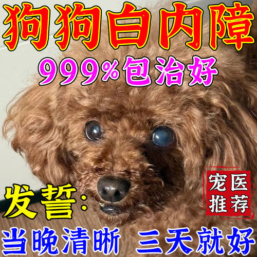 狗狗白内障发炎流脓泪痕眼药水