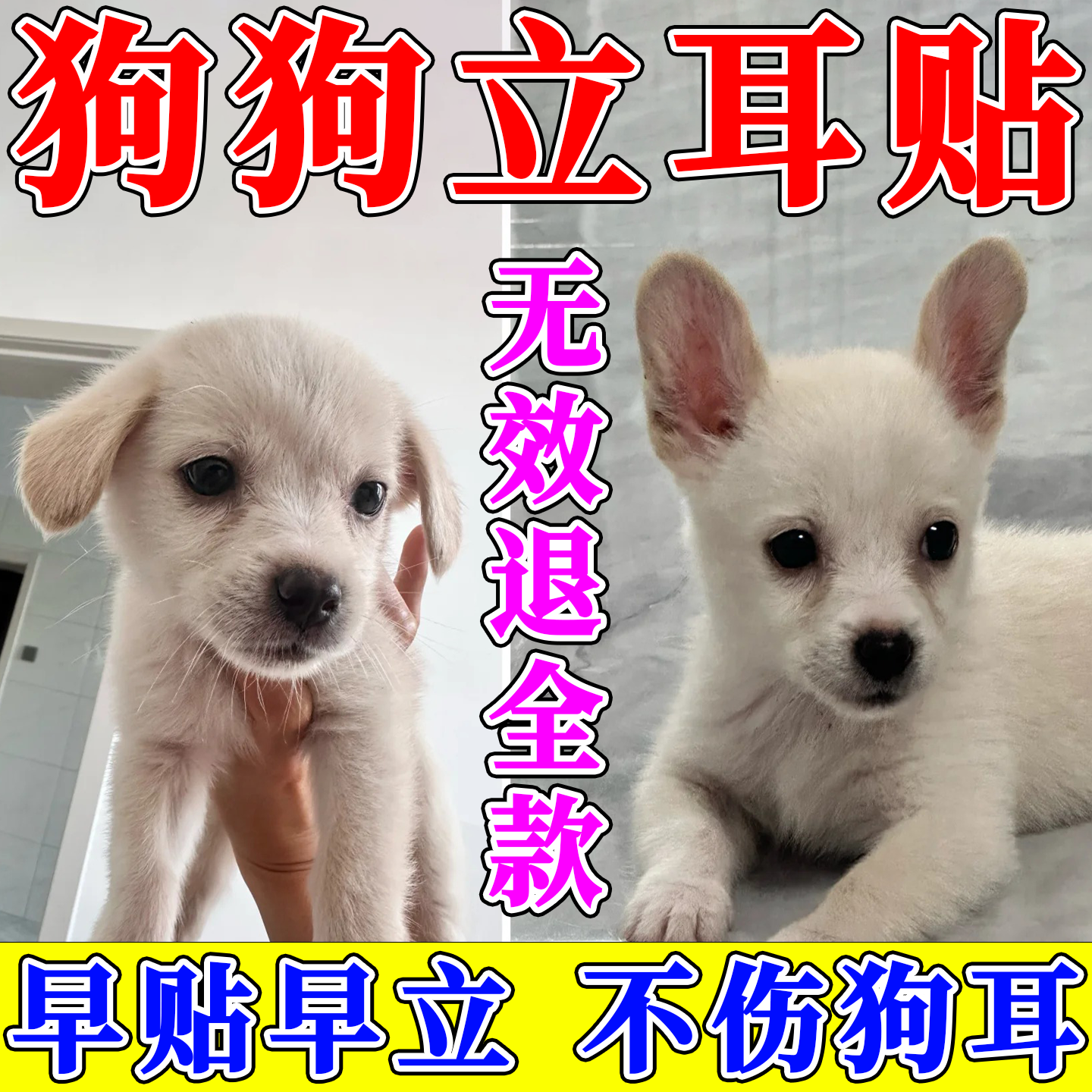 【一贴立耳】狗狗立耳神器辅助器