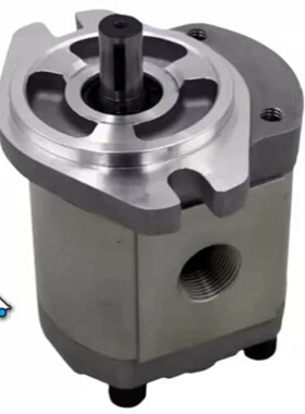 议价Dekema HGP-2A-F8RX4B HYDRAULIC CO.，LTD