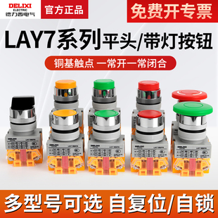 德力西LAY7-11BN开关按钮电源自锁启动急停旋钮带灯自复位按压式