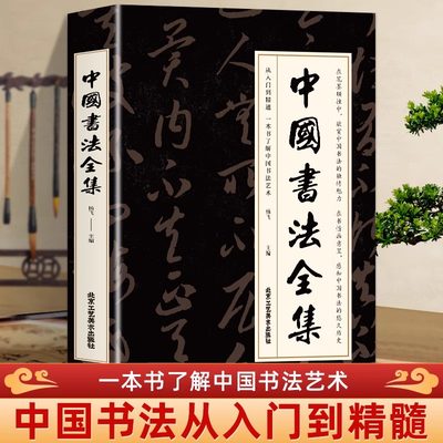 中国书法全集（彩图版）中国书法大全一本通从入门到精通书法通识书法理论书法体系书法史简史发展史书法艺术初学入门书法临摹书籍