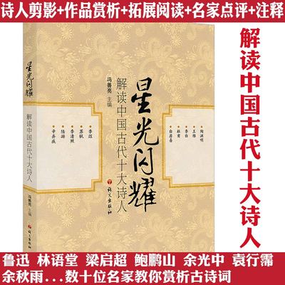 星光闪耀：解读中国古代十大诗人 选取了陶渊明王维李白杜甫白居易李煜苏轼李清照陆游辛弃疾等诗人及诗词解读书籍