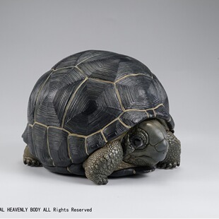 动物星云星球心宽体胖亚达伯拉象龟陆龟动物模型仿真收藏手办树脂