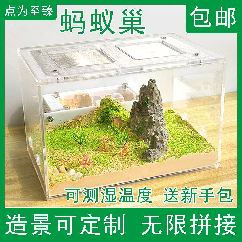 蚂蚁生态箱蚂蚁城堡蚂蚁工坊蚂蚁巢穴家园观察屋蚂蚁窝生态蚁巢
