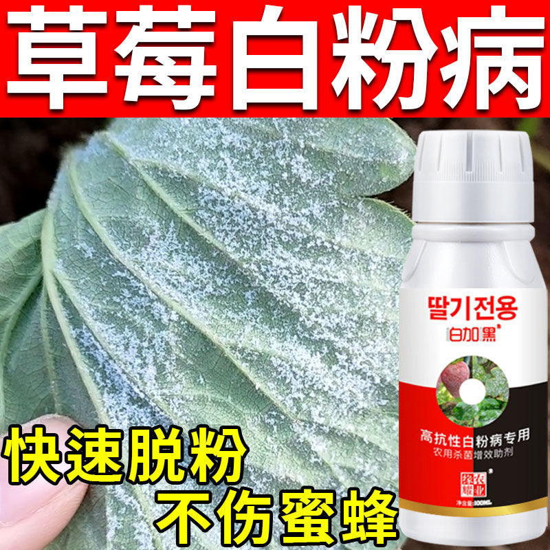 缘耀草莓杀菌剂厂家直销