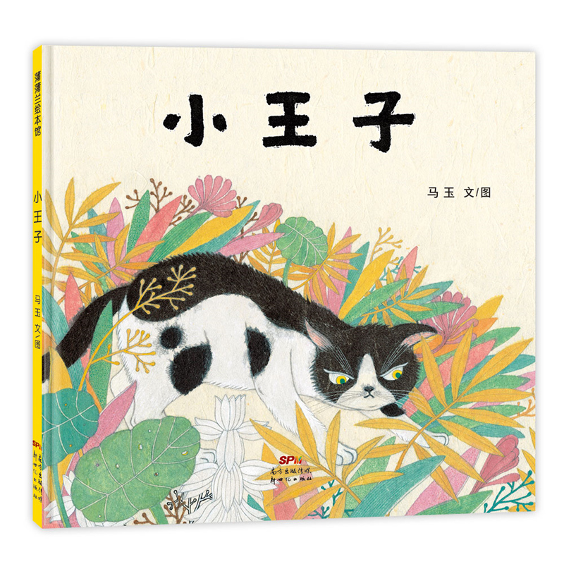 成长故事 猫 坚持与选择 尝试新事物