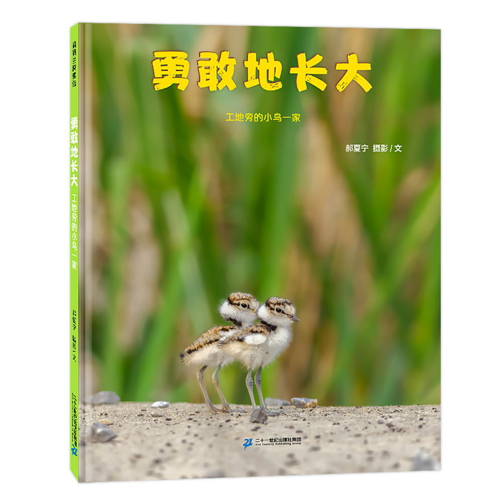 【即将售罄】勇敢地长大:工地旁的小鸟一家——精装 4岁以上 成长纪录片 勇气 摄影实拍 科普环保 幼儿园读物蒲蒲兰绘本馆旗舰店