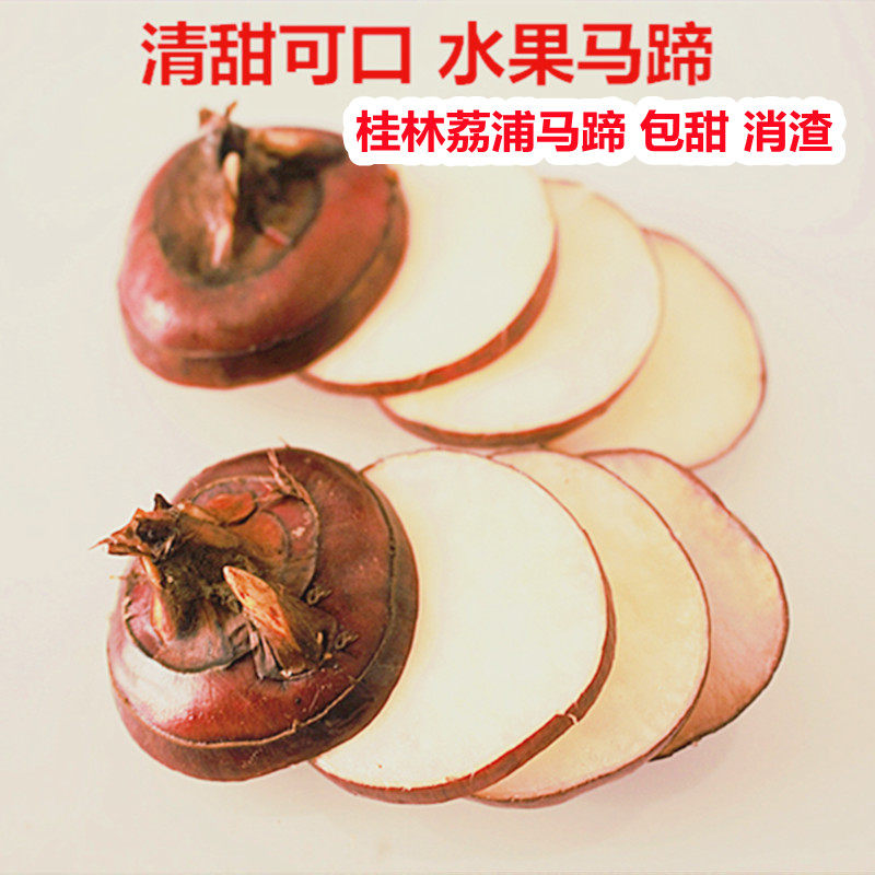 广西桂林荔浦新鲜现挖消渣包甜