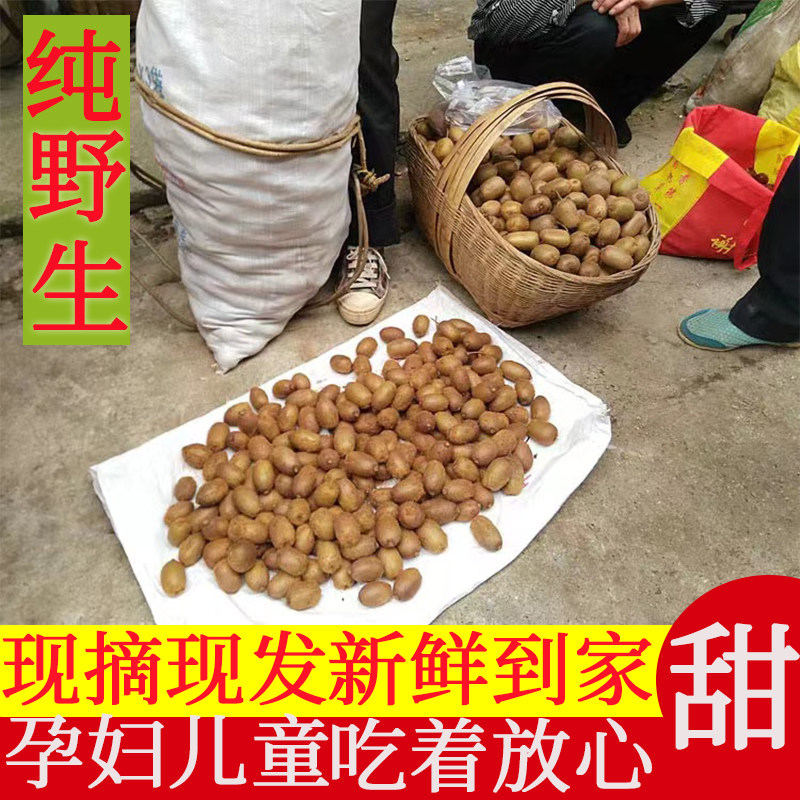 陕西省秦岭野生猕猴桃新鲜水果当奇异果/猕猴桃