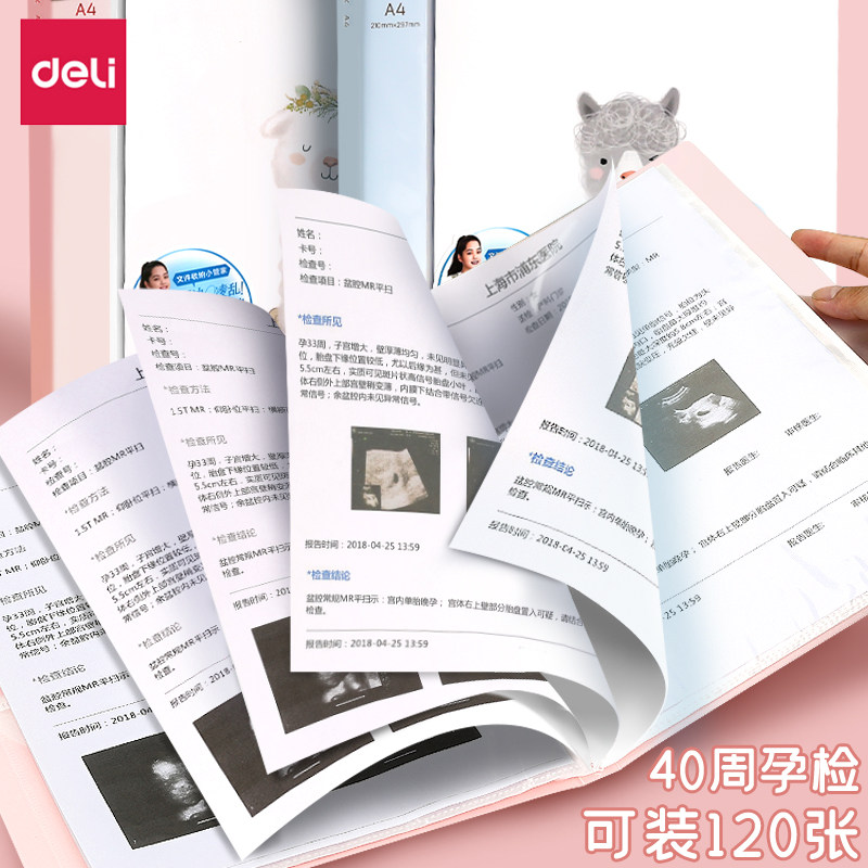得力孕检资料册a4透明插页