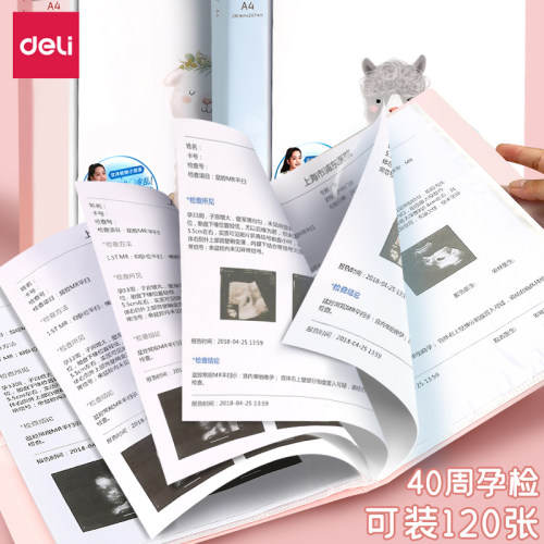 得力孕检资料册a4透明插页