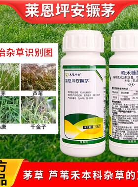 莱恩坪安镢茅麦冬绿篱苗木除茅草芦苇牛筋草稗草马唐狗尾草除草剂
