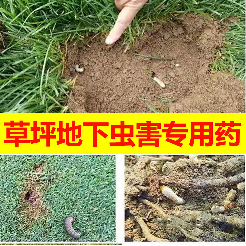 国光丙溴辛硫磷草坪地下害虫药